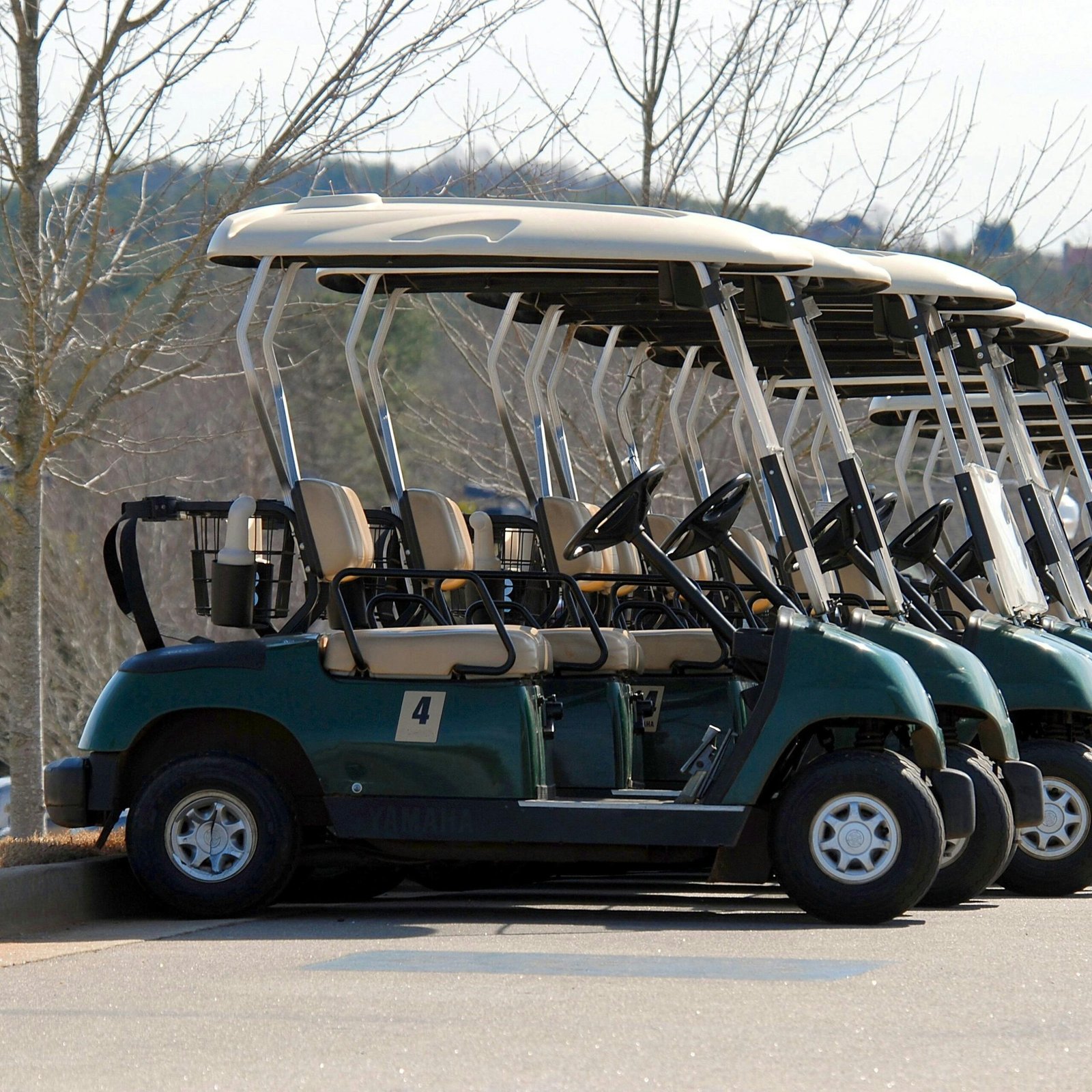 Golf Carts
