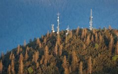 Telecom Networks